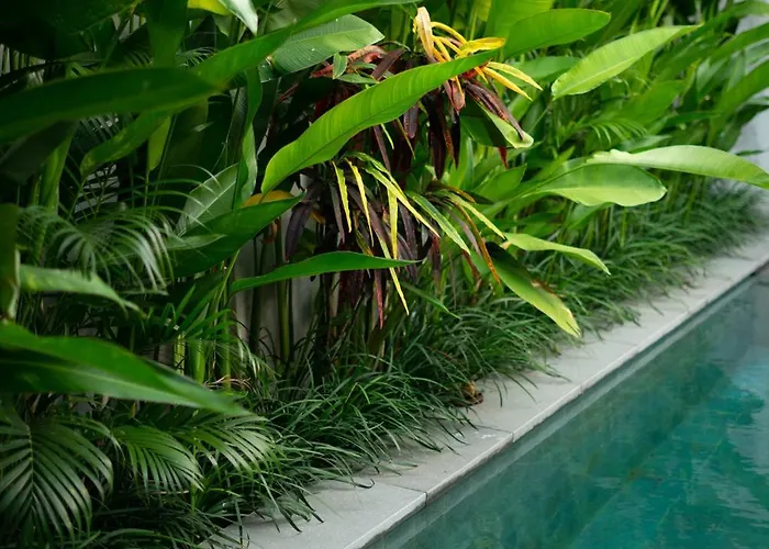 Villa De Awan *